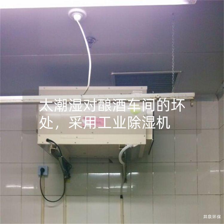太潮湿对酿酒车间的坏处，采用工业除湿机