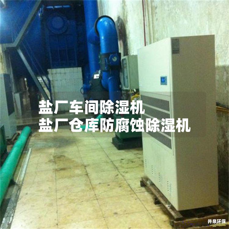 盐厂车间除湿机 盐厂仓库防腐蚀除湿机