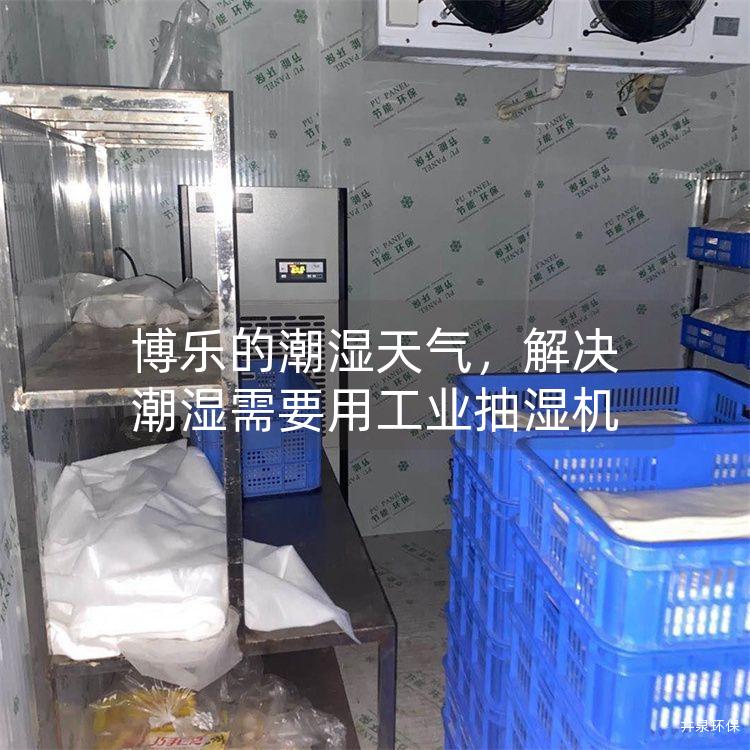 博乐的潮湿天气，解决潮湿需要用工业抽湿机