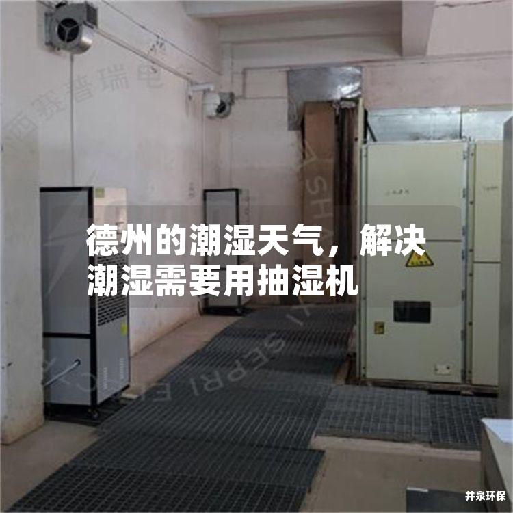 德州的潮湿天气，解决潮湿需要用抽湿机