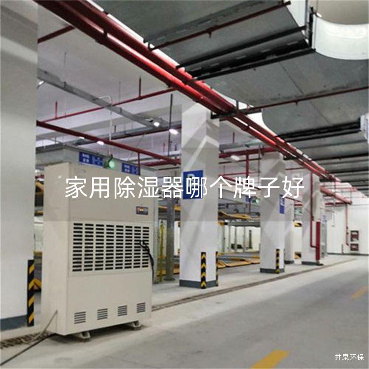 家用除湿器哪个牌子好