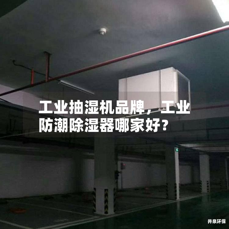 工业抽湿机品牌，工业防潮除湿器哪家好？
