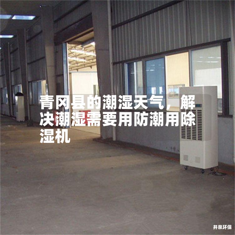 青冈县的潮湿天气，解决潮湿需要用防潮用除湿机