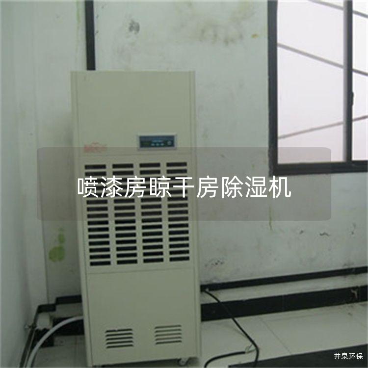 喷漆房晾干房除湿机