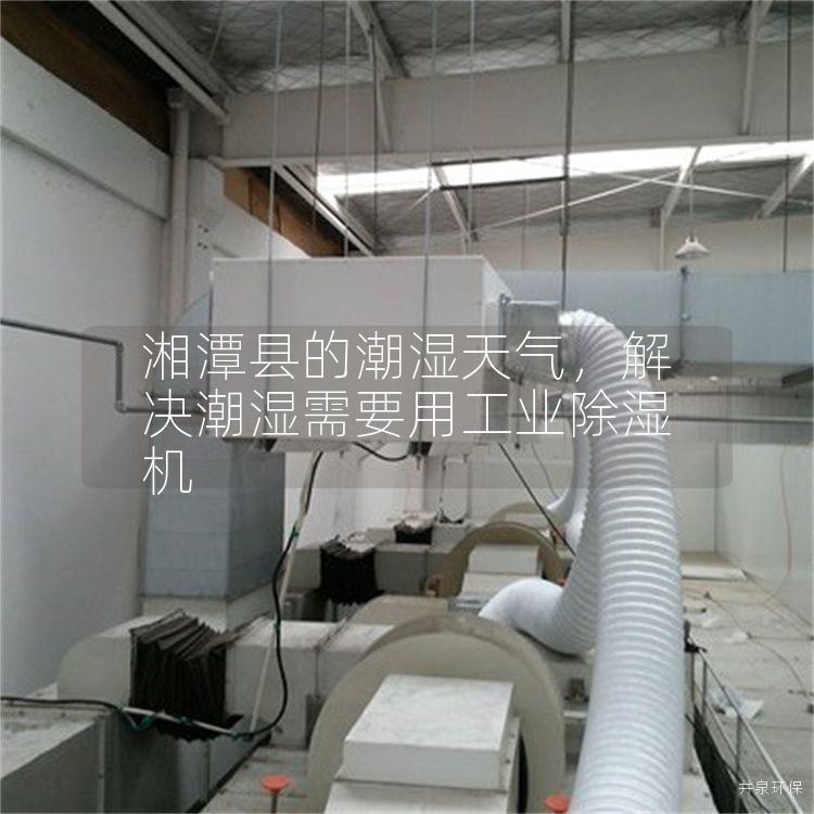 湘潭县的潮湿天气，解决潮湿需要用工业除湿机