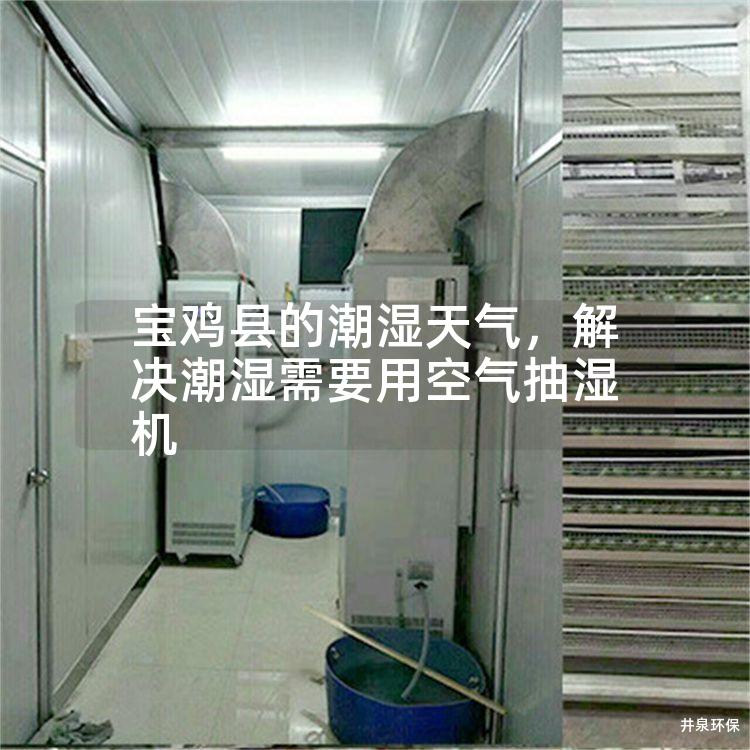 宝鸡县的潮湿天气，解决潮湿需要用空气抽湿机