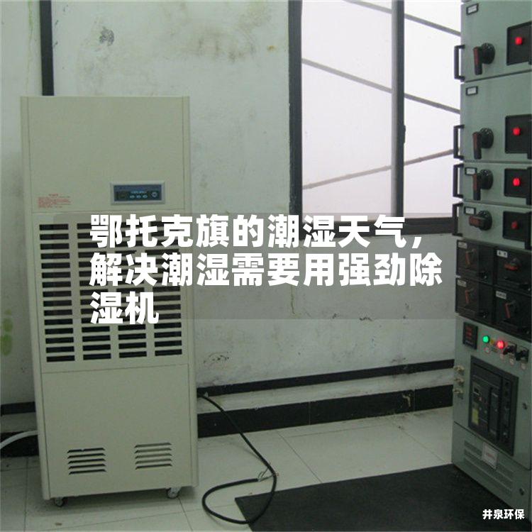 鄂托克旗的潮湿天气，解决潮湿需要用强劲除湿机