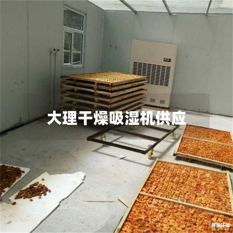 大理干燥吸湿机供应