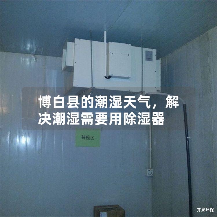 博白县的潮湿天气，解决潮湿需要用除湿器
