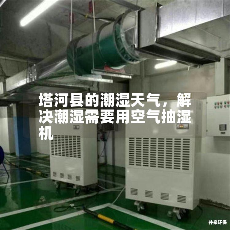 塔河县的潮湿天气，解决潮湿需要用空气抽湿机