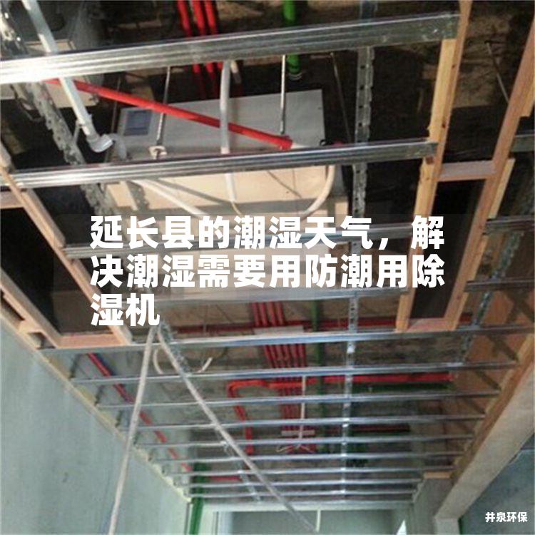 延长县的潮湿天气，解决潮湿需要用防潮用除湿机
