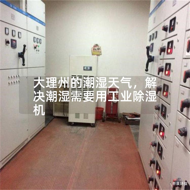 大理州的潮湿天气，解决潮湿需要用工业除湿机