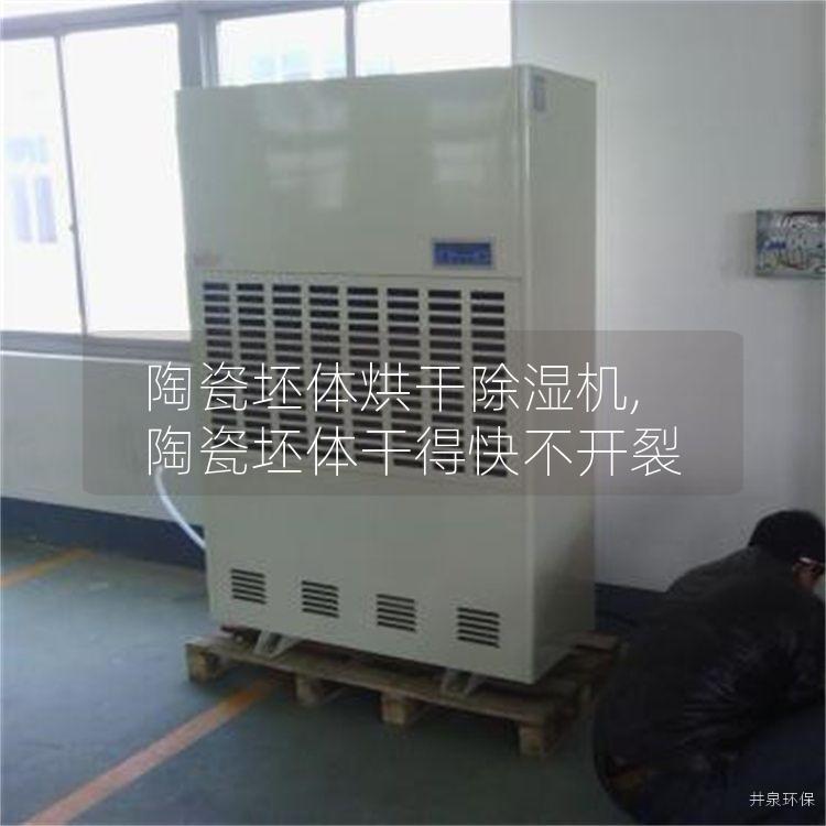 陶瓷坯体烘干除湿机,陶瓷坯体干得快不开裂