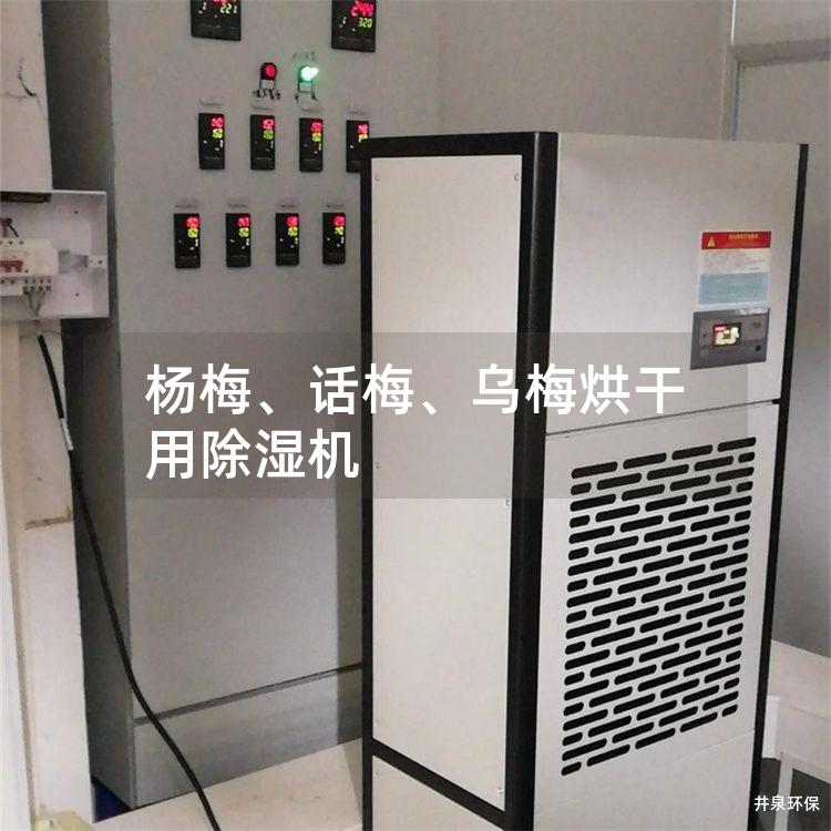 杨梅、话梅、乌梅烘干用除湿机