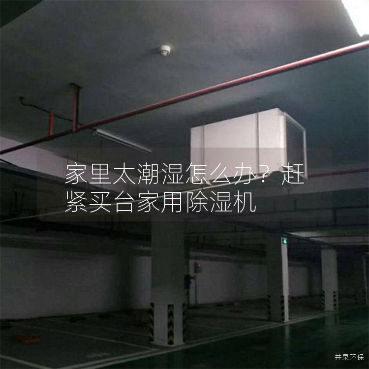 家里太潮湿怎么办？赶紧买台家用除湿机