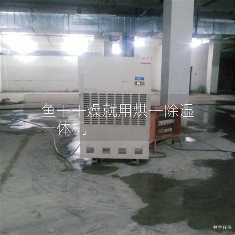 鱼干干燥就用烘干除湿一体机