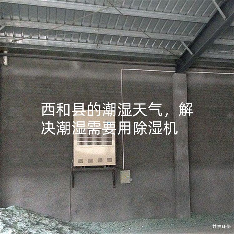 西和县的潮湿天气，解决潮湿需要用除湿机