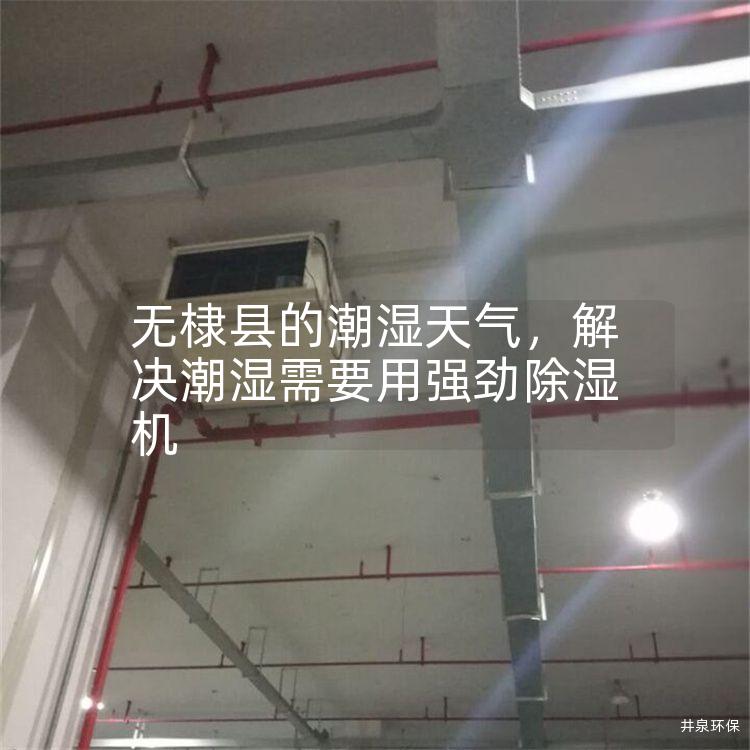 无棣县的潮湿天气，解决潮湿需要用强劲除湿机