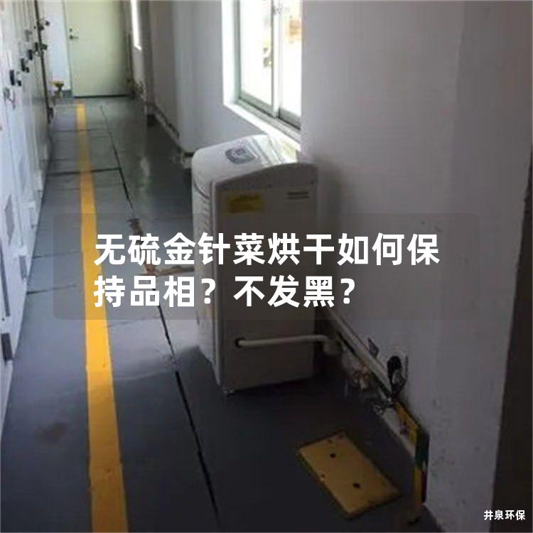 无硫金针菜烘干如何保持品相？不发黑？