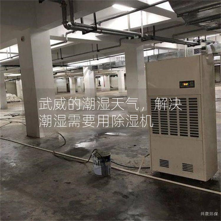 武威的潮湿天气，解决潮湿需要用除湿机