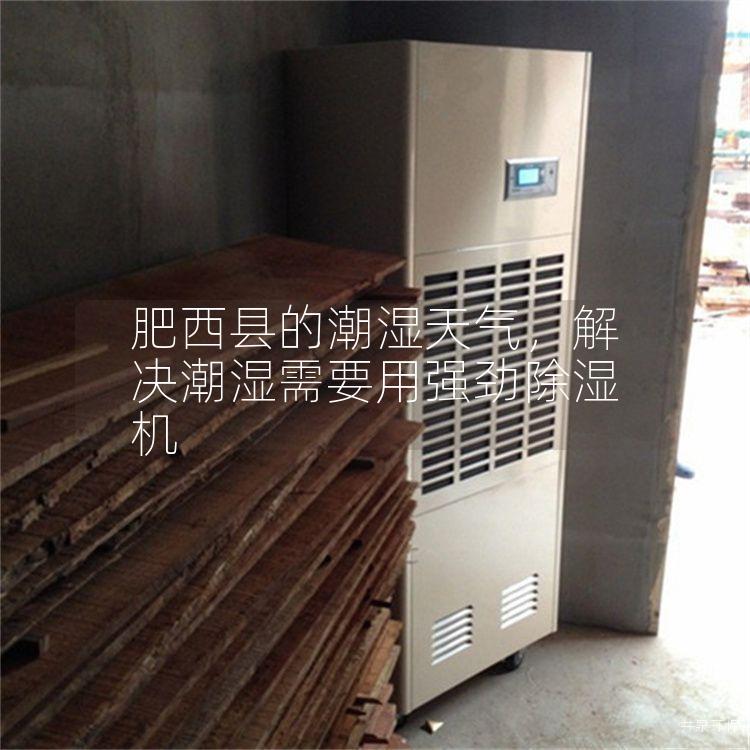 肥西县的潮湿天气，解决潮湿需要用强劲除湿机