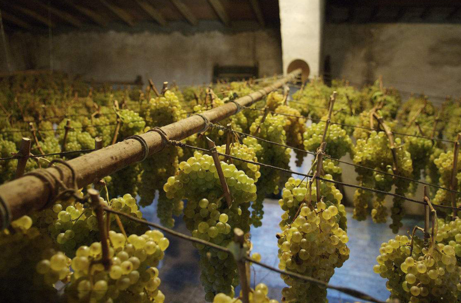 葡萄干如何快速烘干 推荐使用烘干除湿机