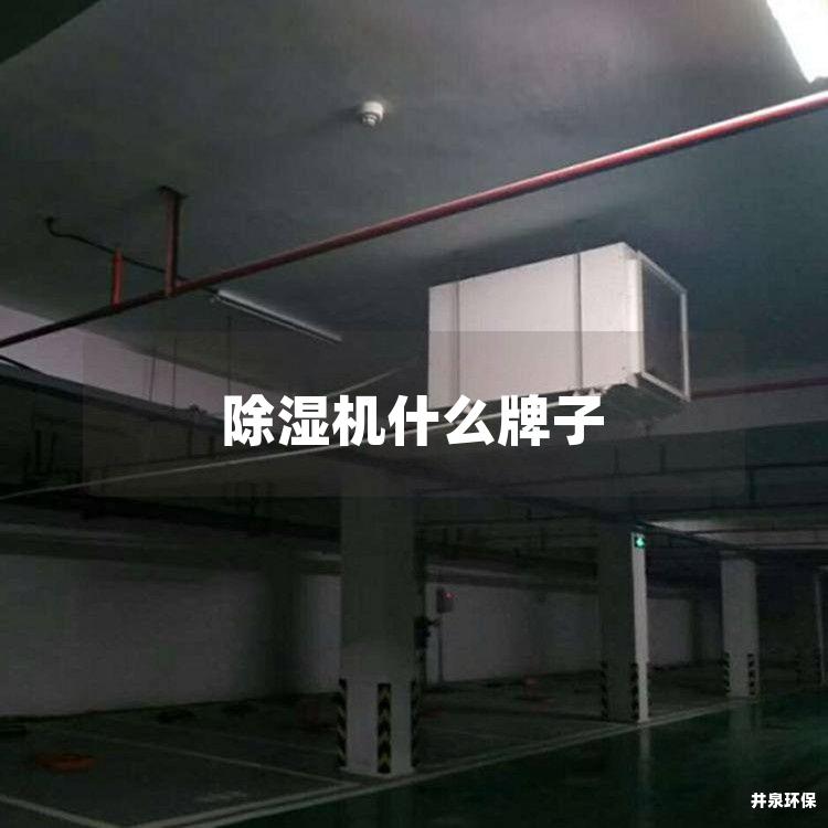 除湿机什么牌子