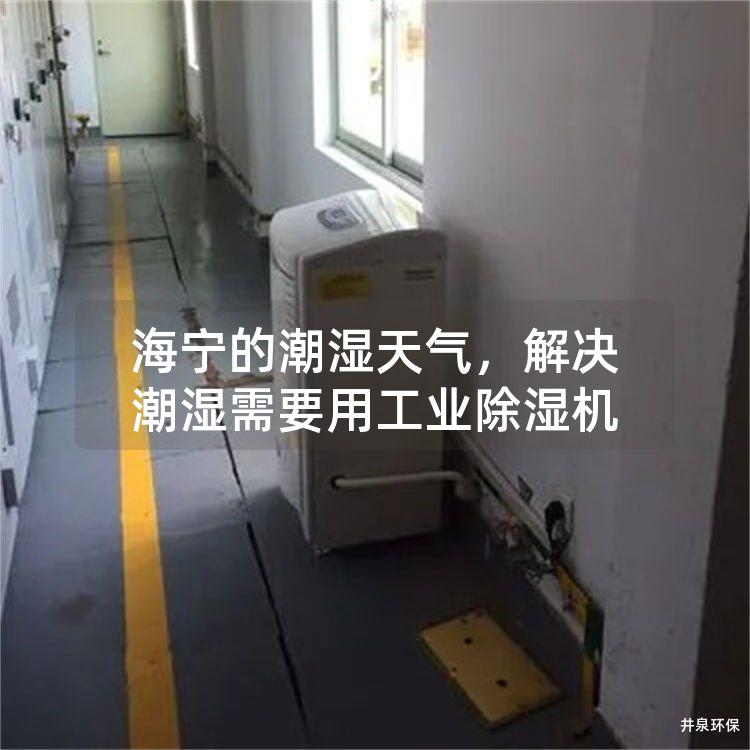 海宁的潮湿天气，解决潮湿需要用工业除湿机