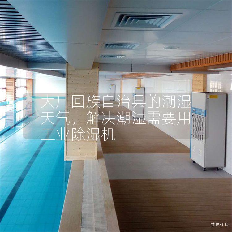 大厂回族自治县的潮湿天气，解决潮湿需要用工业除湿机