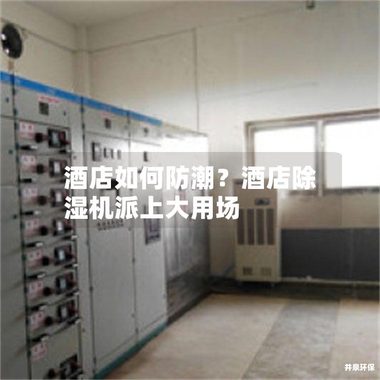 酒店如何防潮？酒店除湿机派上大用场