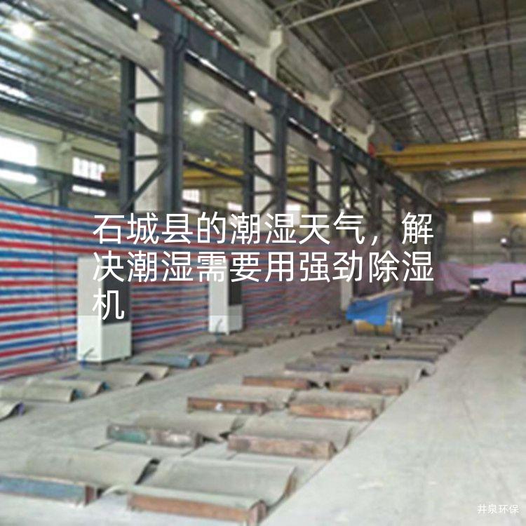 石城县的潮湿天气，解决潮湿需要用强劲除湿机