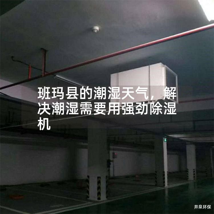 班玛县的潮湿天气，解决潮湿需要用强劲除湿机