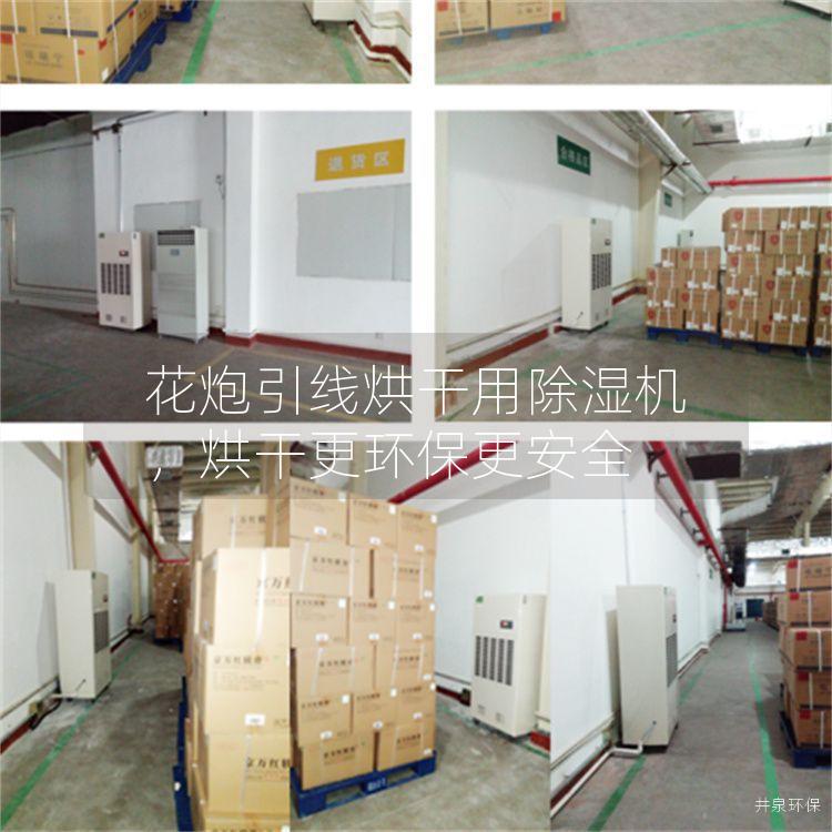 花炮引线烘干用除湿机，烘干更环保更安全