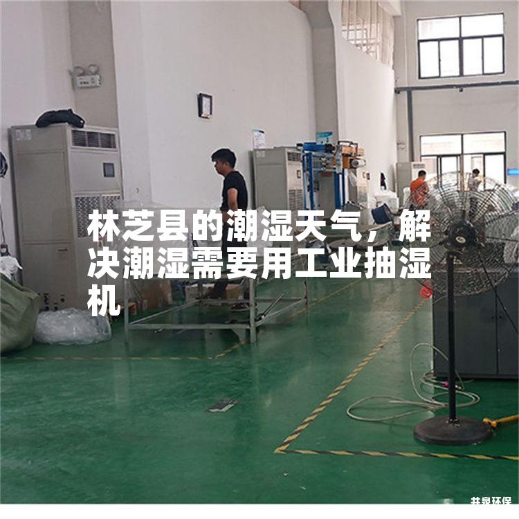 林芝县的潮湿天气，解决潮湿需要用工业抽湿机