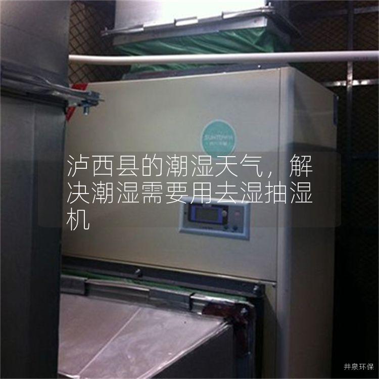 泸西县的潮湿天气，解决潮湿需要用去湿抽湿机
