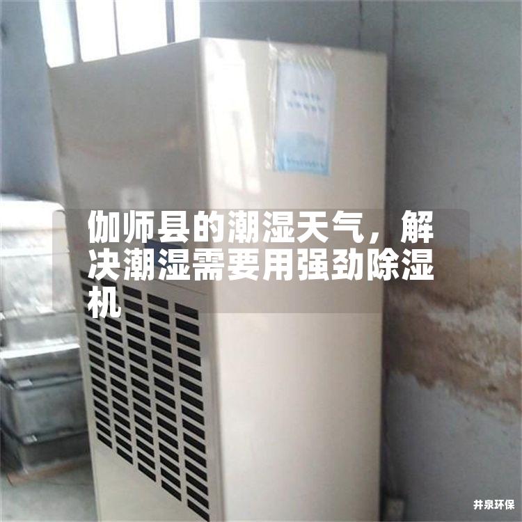 伽师县的潮湿天气，解决潮湿需要用强劲除湿机