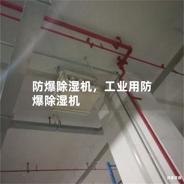 防爆除湿机，工业用防爆除湿机