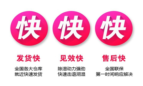 地下室湿气清除器：消除潮湿并消除霉味