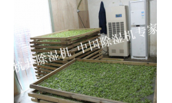 茶叶仓库除湿机案例