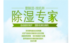 仓库除湿器哪个牌子好