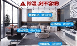 喷涂车间除湿器，奥迪汽车喷涂间专用除湿机品